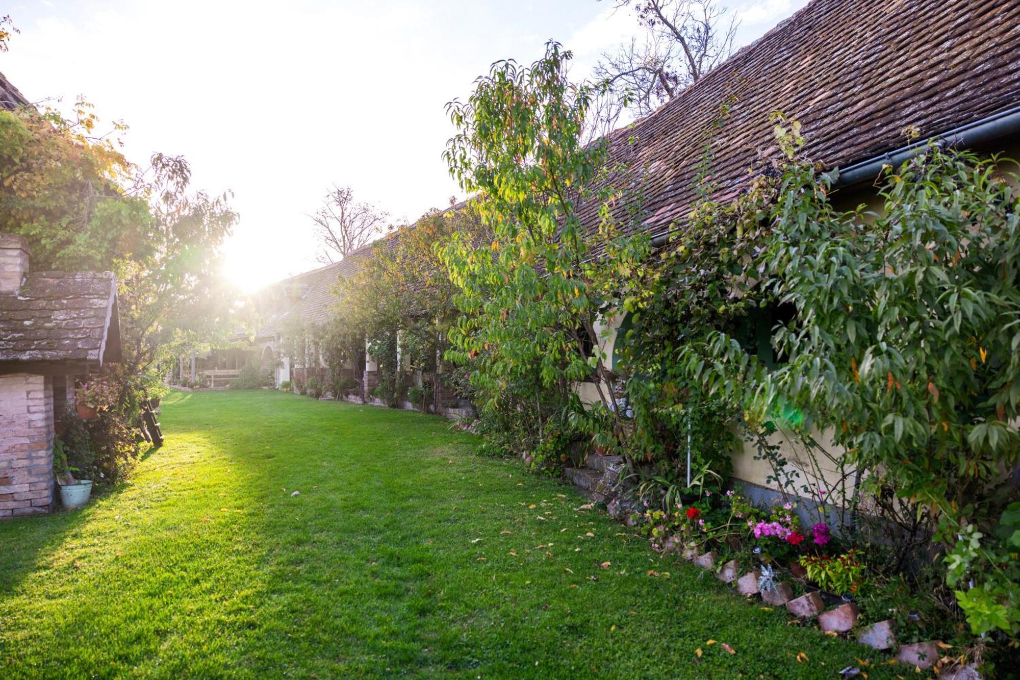 Bed and Breakfast Snasini Kucari Gradiste Exterior foto